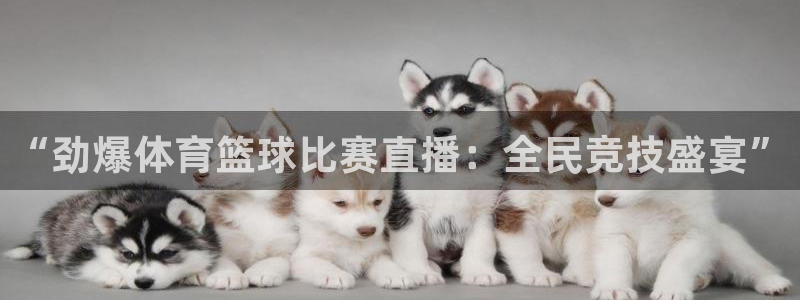杏宇体育f开号