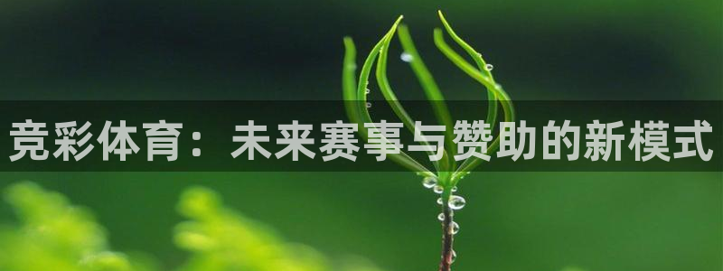 杏宇2体育