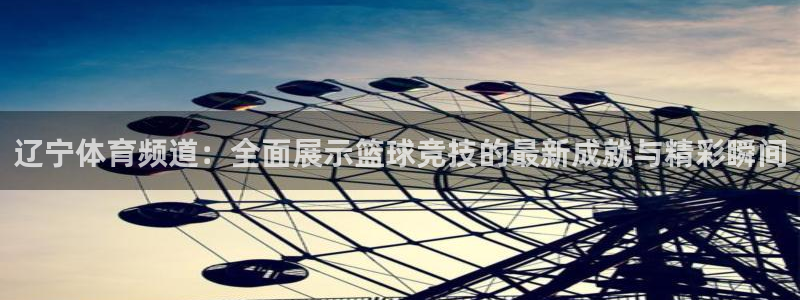 杏宇平台开户链接