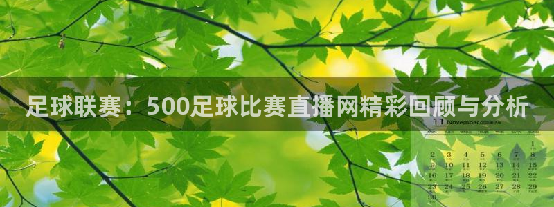 杏宇体育