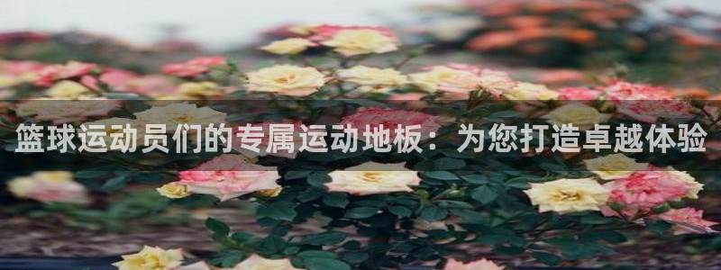 杏宇体育3