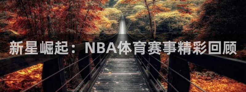 杏宇体育凯捷平台代理