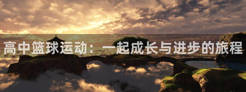 杏宇体育代理申请流程
