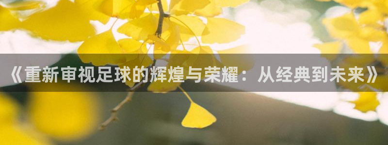 杏宇体育