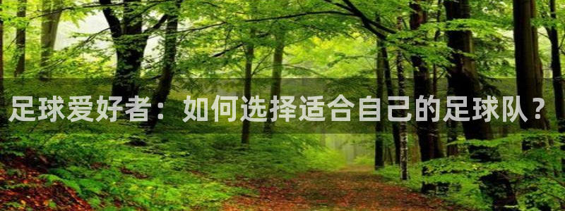 杏宇体育凯捷平台主管