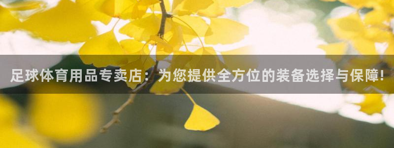 杏宇体育合法嘛